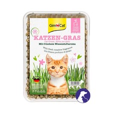 GimCat Katzen-Gras Трава в контейнере 150 gr