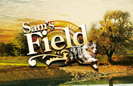 Обзор корма Sam’s Field для собак